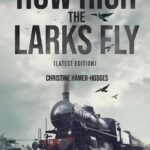 How High the Larks Fly: The harrowing but true story of a young girl fighting to survive when her world is destroyed by war